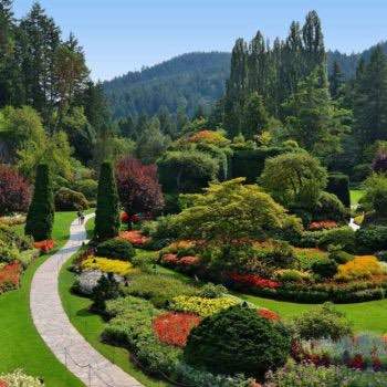 Clipper’s Butchart Gardens Tour